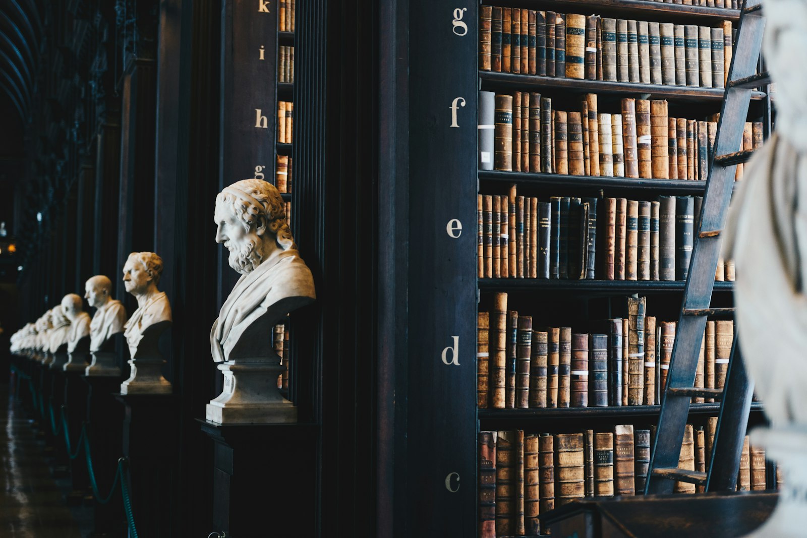 A long, warm-lit law library lined with leather-bound volumes and marble busts.